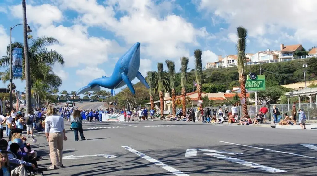 Dana Point Festival of Whales
