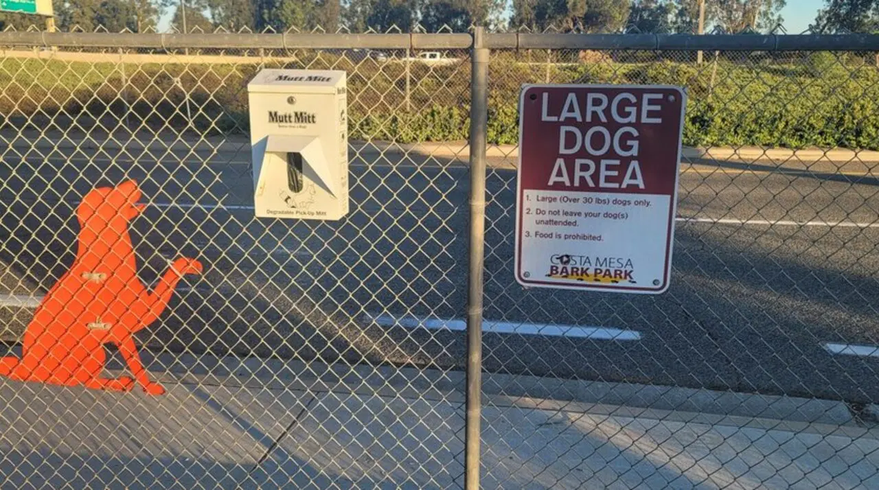 Large Dog Area rules sign and Mutt Mitt dispenser on the chain-link fence at Costa Mesa Bark Park