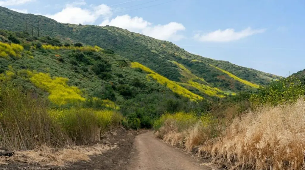 el morro canyon loop in crystal cove state park