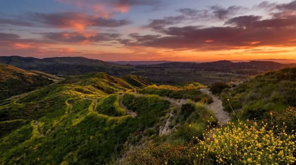 Irvine Regional Park Trails
