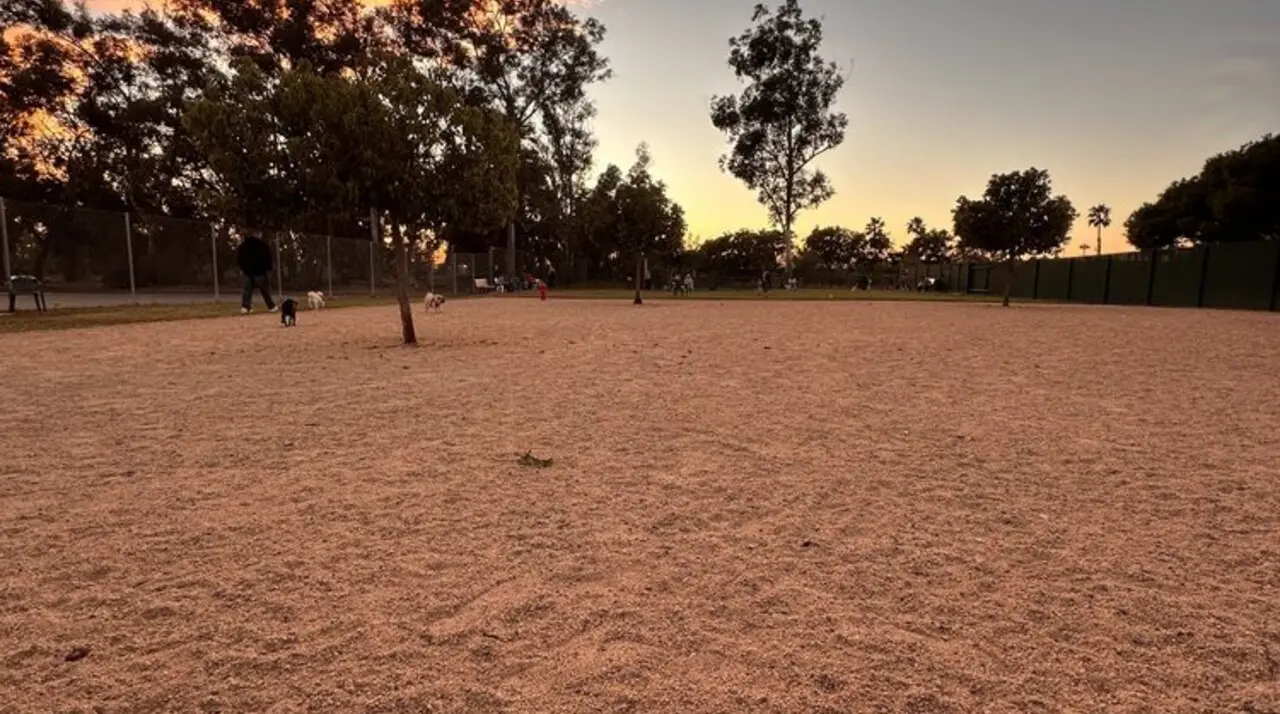 Sunset over the fenced off-leash yard at Orange Dog Park in Yorba Park, with dogs and owners on the decomposed-granite field