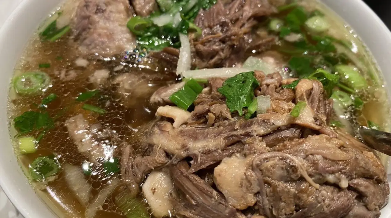 Close-up of Pho 101 beef pho with tender brisket, scallions, and cilantro