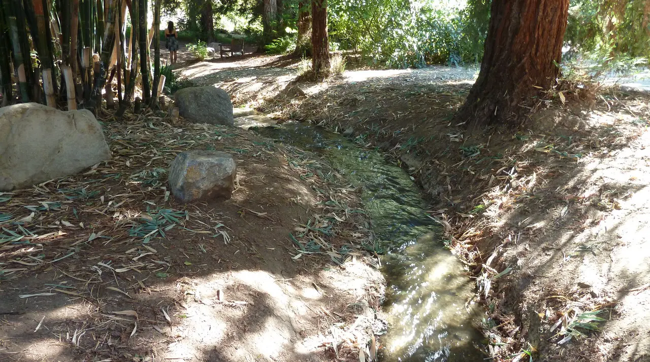 Garden paths and plant collections at Fullerton Arboretum, a free-admission inland stop among best free things to do in Orange County