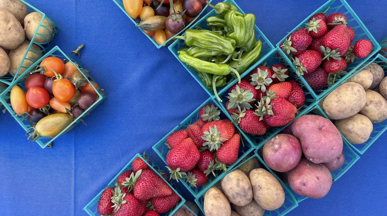 Produce stalls and shoppers at a Saturday farmers market representing the Irvine Farmers Market at Mariners Church