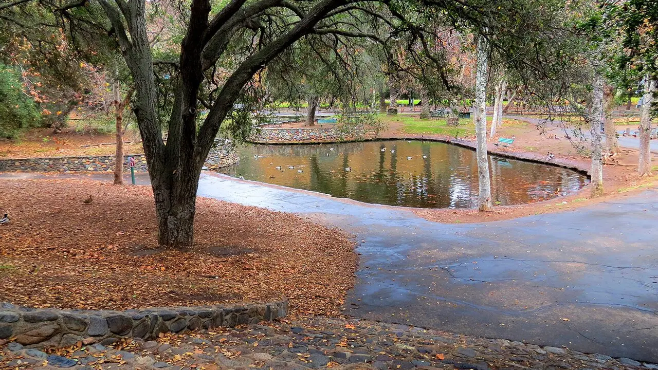Oak trees and park grounds at Irvine Regional Park, home of the OC Zoo