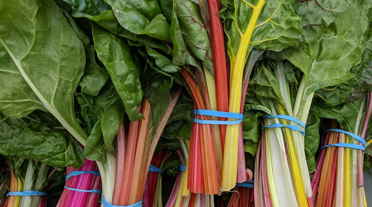Colorful chard and leafy greens at a certified farmers market like Orange Home Grown in Old Towne Orange