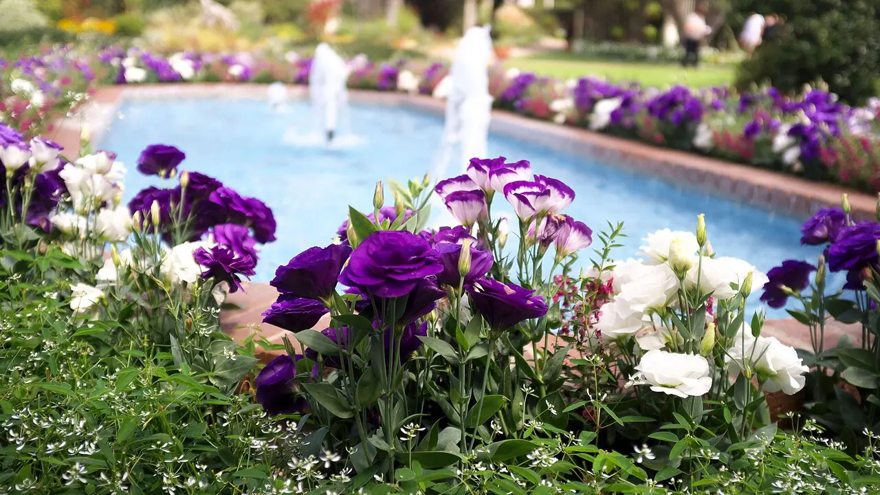 Garden paths and plantings at Sherman Library & Gardens in Corona del Mar
