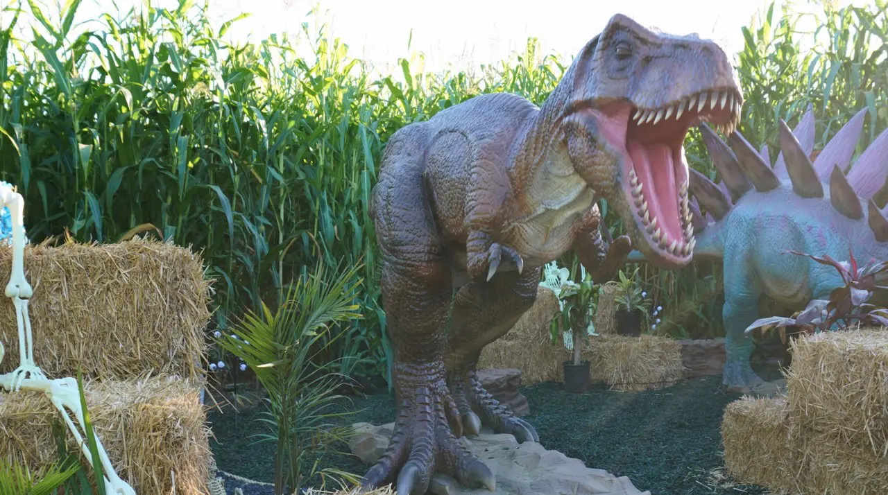 T-Rex in the Jurassic Fright Corn Maze at Hana Field pumpkin patch in Costa Mesa