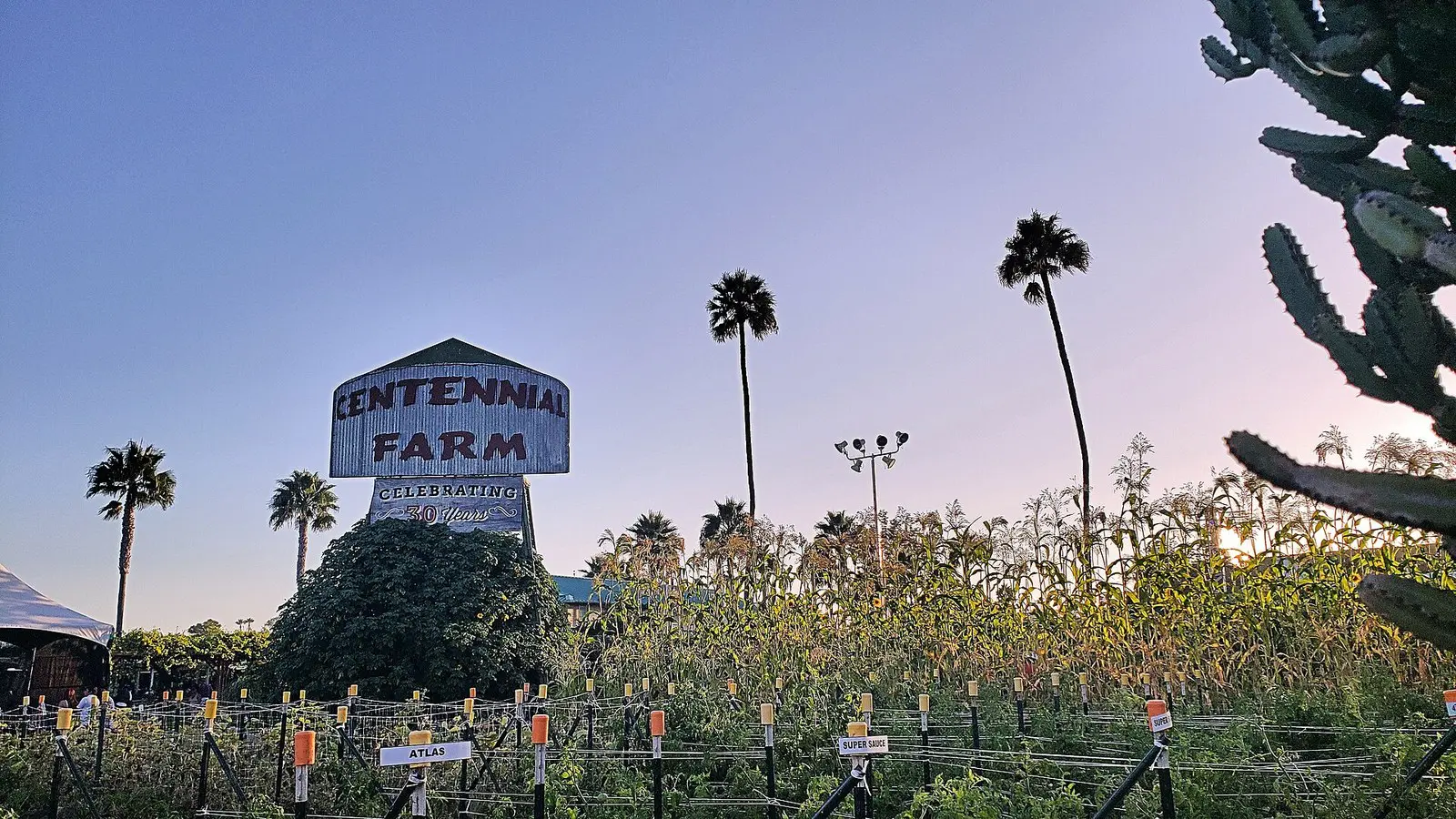 Daytime view near OC Fair and Event Center grounds in Costa Mesa Orange County